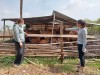 MÔ HÌNH TỔ VIÊN SỬ DỤNG HIỆU QUẢ TỪ VỐN VAY NGÂN HÀNG CHÍNH SÁCH